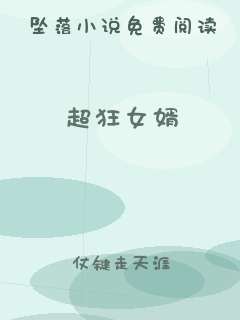 超狂女婿
