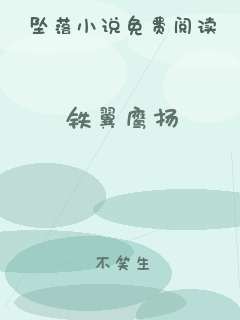 铁翼鹰扬